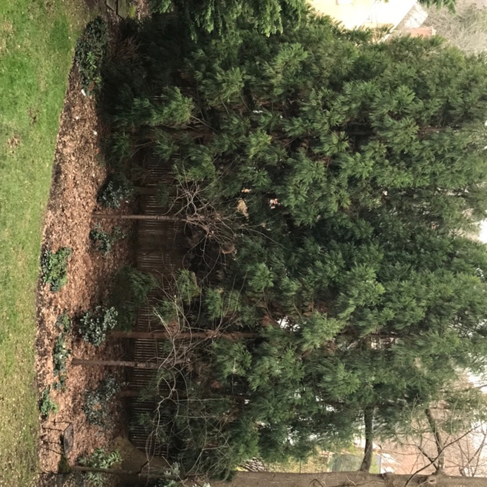 Meet your Posher, Lucylucy